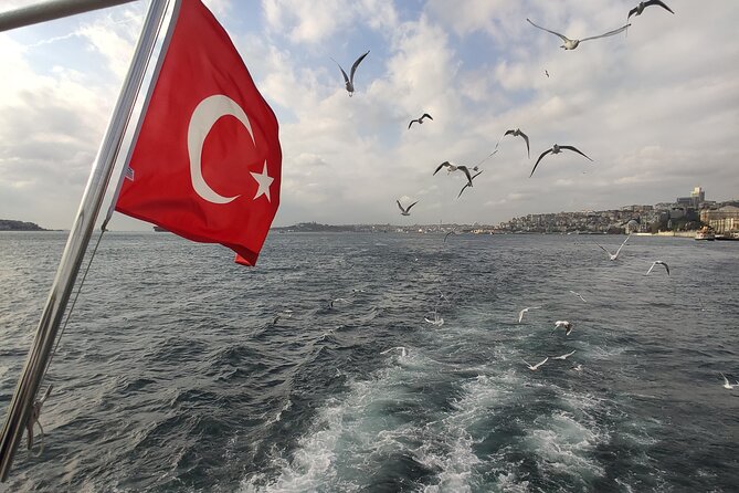 2-Hour Bosphorus Cruise in Istanbul with Guide - Palaces, stadiums, and Ottoman display along the European shore