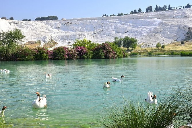 4 Days Turkey Tour - Cappadocia, Ephesus and Pamukkale Tour - Who should book this four-day Turkey tour?