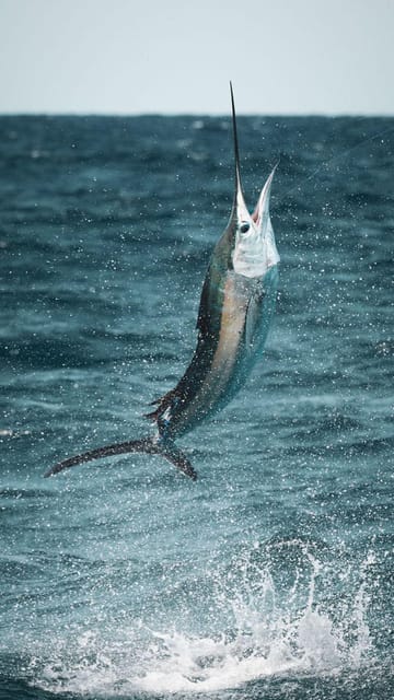 Alanya: Fishing Tour with Equipment and Lunch - Lunch made from the day’s catch