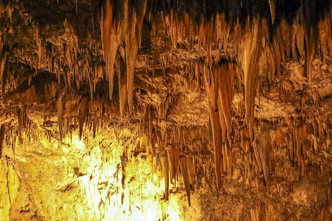 Alanya Highlights: Sapadere Waterfalls, Dim Cave & Dim River - Sapadere Canyon and its 385-meter boardwalk