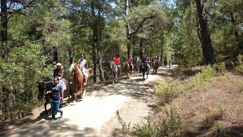Alanya: Horse Riding Adventure - From central Alanya to the Horse Club