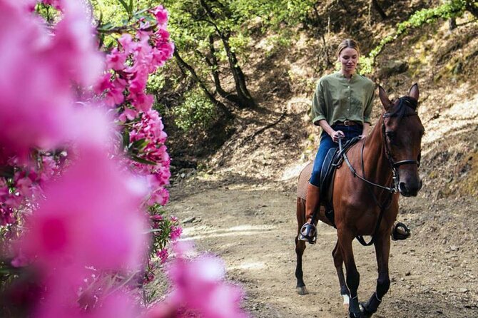 Alanya Horse Riding Experience With Free Hotel Transfer - What the Alanya ride is really like