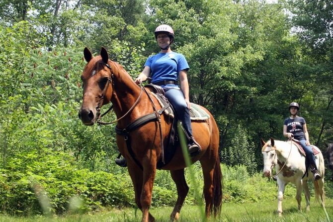 Alanya Horse Riding Experience With Free Hotel Transfer - Friendly horses and a calm pace