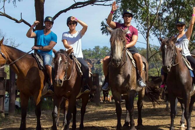 Alanya Horse Riding Experience With Free Hotel Transfer - Who should book this ride?