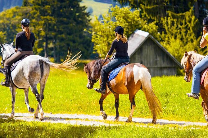 Alanya Horse Riding Experience With Free Hotel Transfer - Weather, cancellations, and one important warning