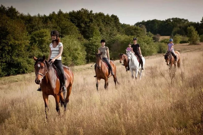 Alanya: Horse Riding Tour with Hotel Transfers - Riding through the wooded hills around Syedra
