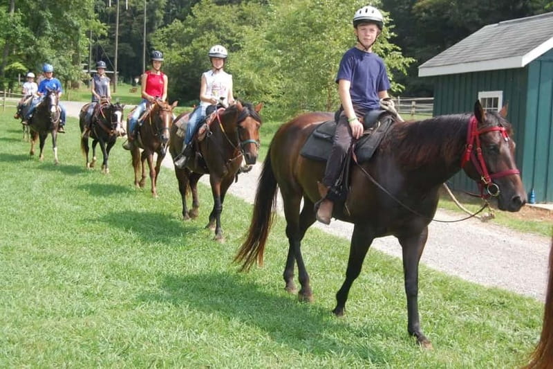Alanya: Horse Riding Tour with Hotel Transfers - Returning to the farm and reviewing the photographs