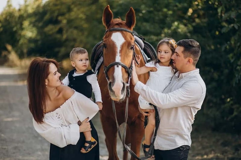 Alanya: Horse Riding Tour with Hotel Transfers - Meeting the horses and getting your first instructions