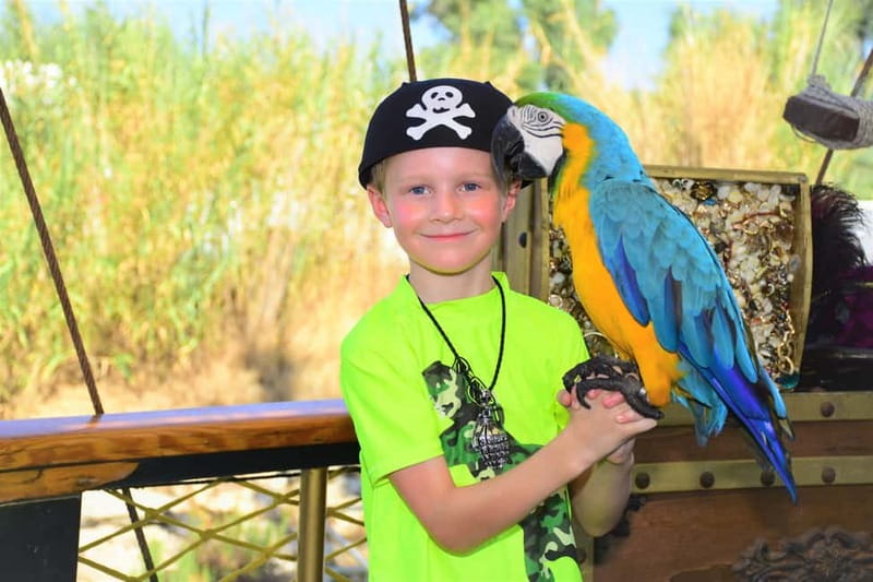 Alanya: Pirate Boat Trip with Meal, Drinks and Pickup Option - Who Will Enjoy This Cruise Most?