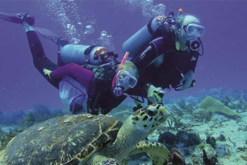 Alanya: Scuba Diving Adventure for Beginners & Professionals - Who Will Enjoy This Alanya Scuba Tour?