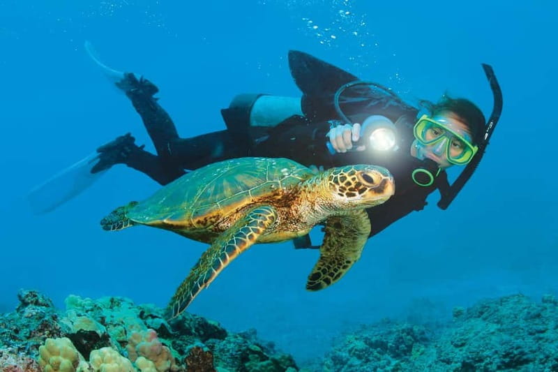 Alanya: Scuba Diving Adventure for Beginners & Professionals - Hotel Pickup and the Trip to the Harbor