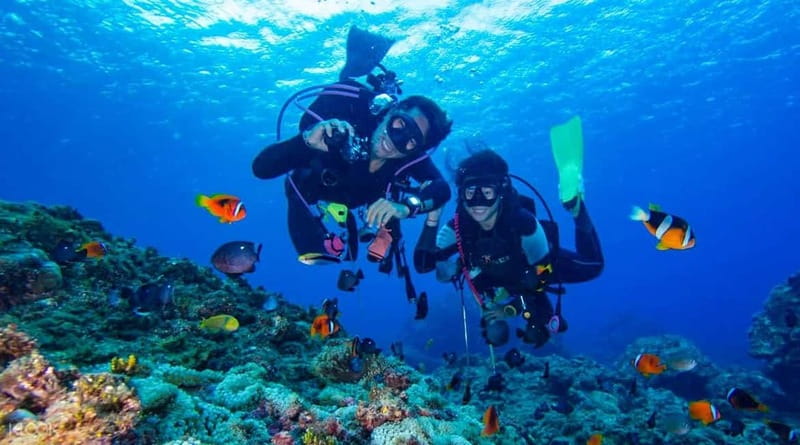 Alanya: Scuba Diving Adventure for Beginners & Professionals - Boat Briefing and Equipment Setup