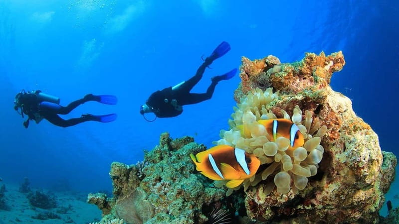 Alanya: Scuba Diving Adventure for Beginners & Professionals - First Underwater Session at 3 to 5 Meters