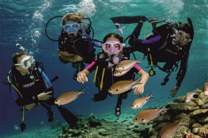 Alanya: Scuba Diving Adventure for Beginners & Professionals - Lunch, Sun, and a Useful Break