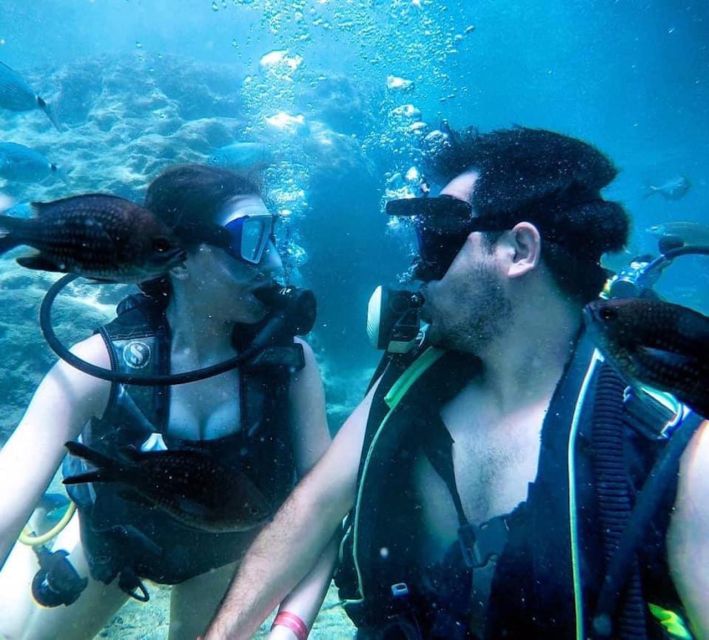 Alanya: Scuba Diving Experience with Lunch - A full day from Alanya Marina