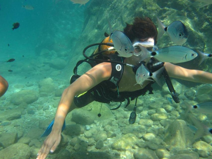 Alanya: Scuba Diving Experience with Lunch - Lunch and the pause between sessions