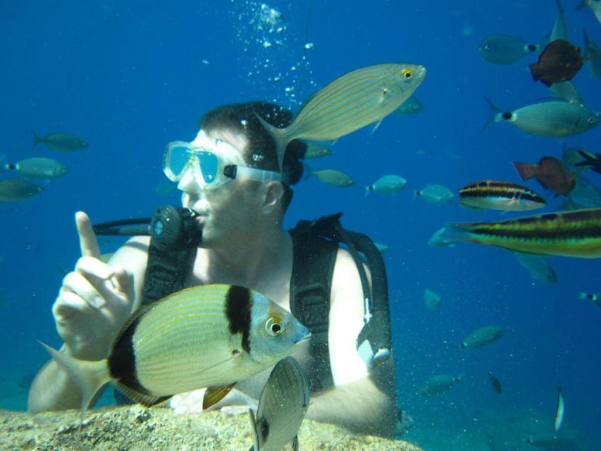 Alanya: Scuba Diving Experience with Lunch - Instructor language and safety concerns