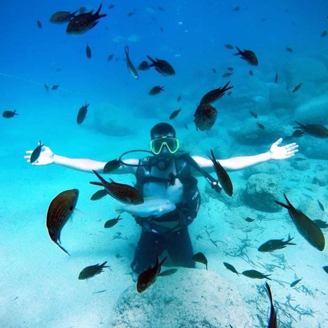 Alanya: Scuba Diving Experience with Lunch - Is $50 a fair price?
