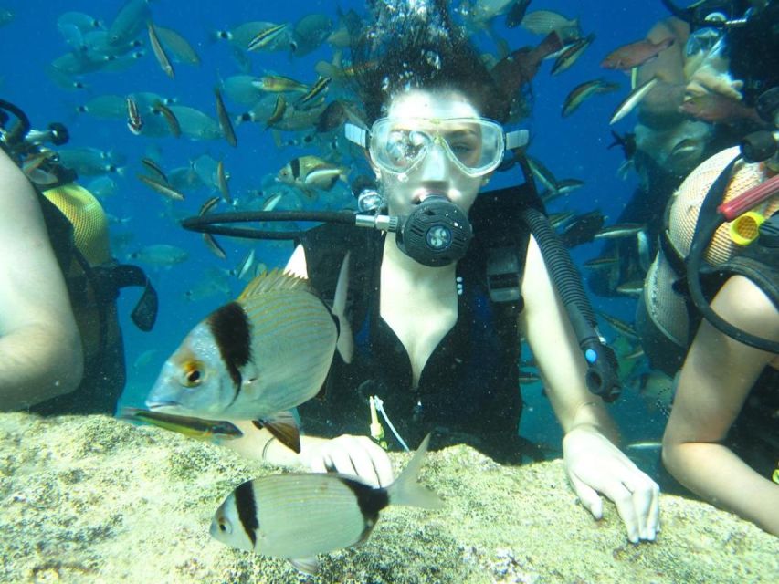 Alanya: Scuba Diving Experience with Lunch - What to bring and what to leave behind