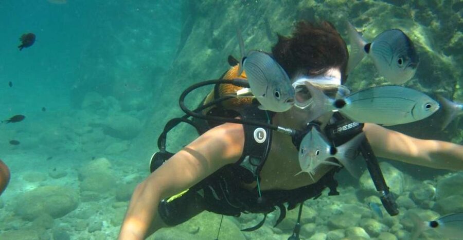 Alanya: Scuba Diving Experience with Lunch - What the first underwater session is really like