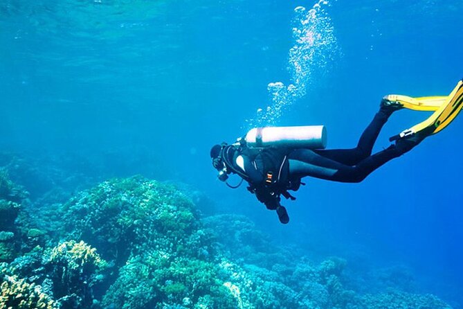 Alanya : Scuba Diving for Beginners w/ Lunch and Transfer - Two underwater sessions, with time between them
