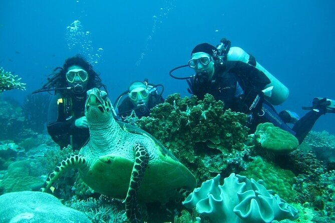 Alanya : Scuba Diving for Beginners w/ Lunch and Transfer - Equipment, staff, and the group atmosphere