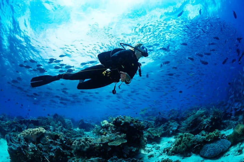 Alanya: Scuba Diving Tour With Lunch - An eight-hour day built around the sea