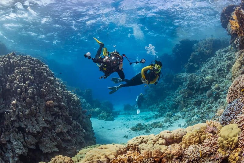 Alanya: Scuba Diving Tour with Lunch and Hotel Transfers - The morning session at 3 to 5 meters