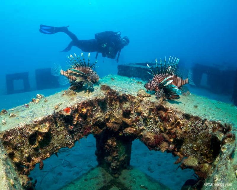 Alanya: Scuba Diving Tour with Lunch and Hotel Transfers - Lunch, swimming, and sun time between sessions