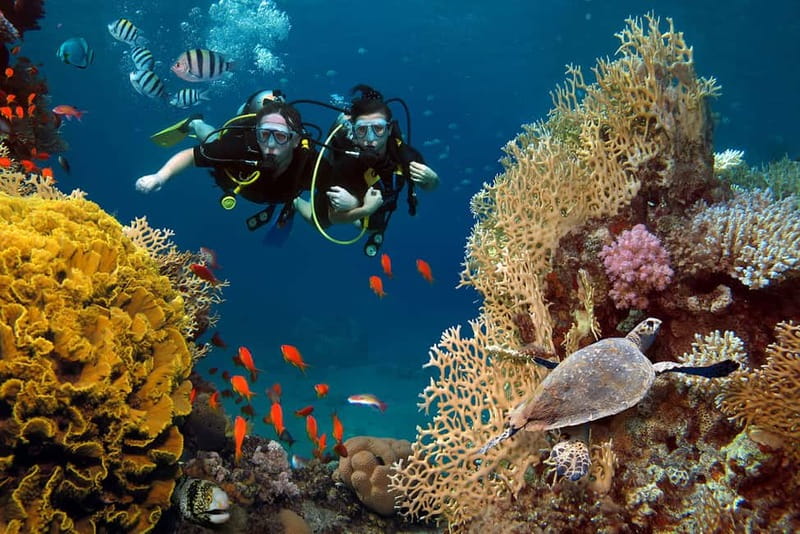 Alanya: Scuba Diving Tour with Lunch and Hotel Transfers - Reaching the sea caves below Alanya Castle