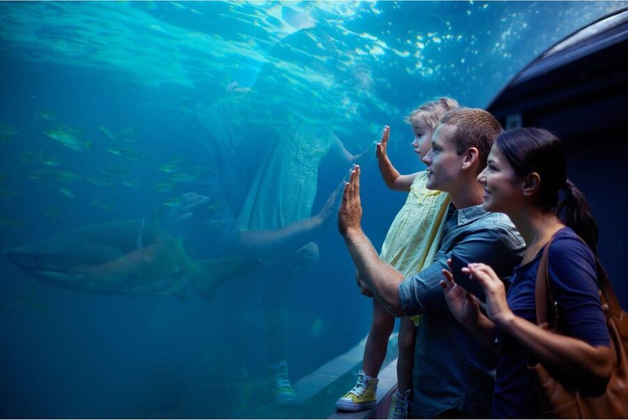 Antalya: Aquarium and Wax Museum Entry Ticket - The five-million-liter tunnel is the main event