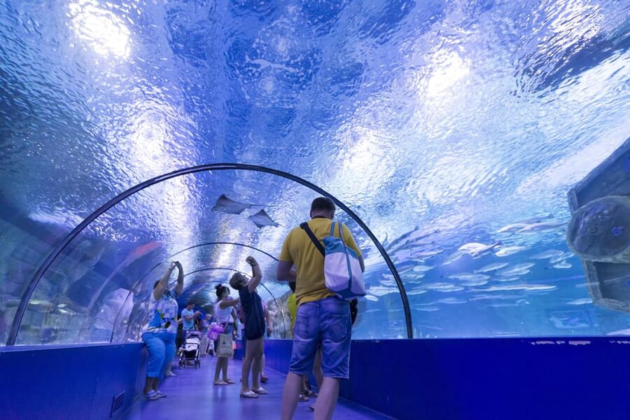 Antalya: Aquarium and Wax Museum Entry Ticket - Feeding demonstrations are worth planning around