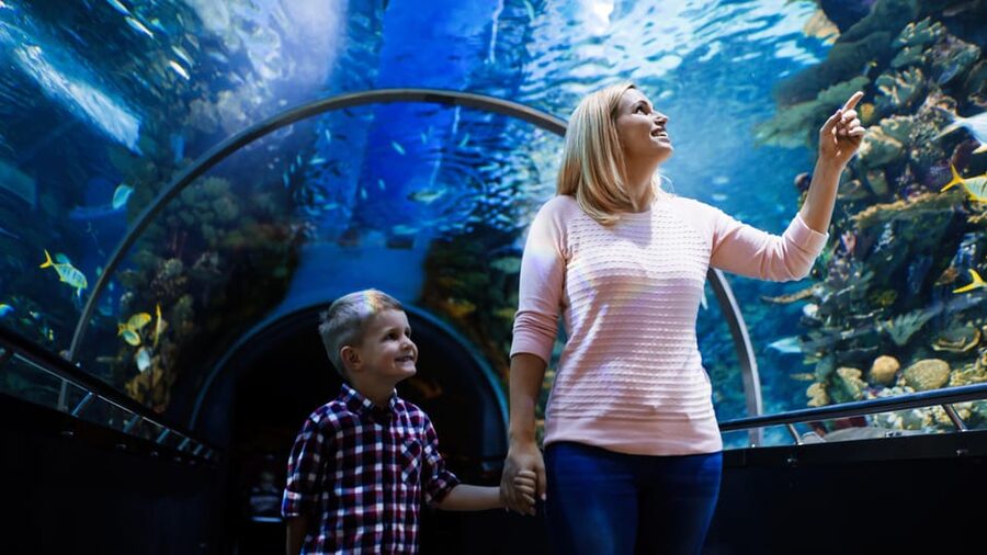 Antalya: Aquarium and Wax Museum Entry Ticket - Marine life from sharks to octopuses