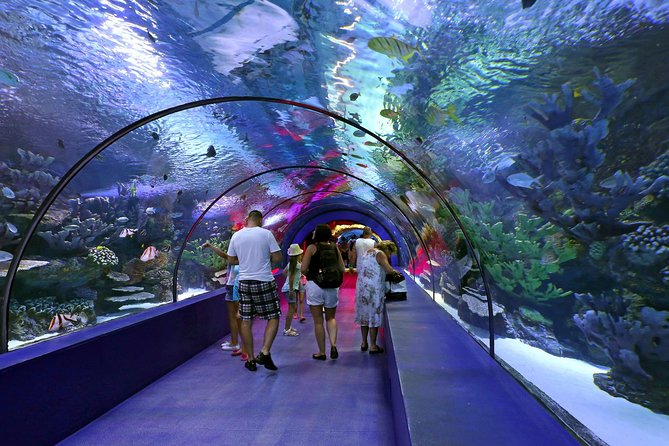 Antalya: Aquarium Ticket With Optional Transfer - What You Actually Get for $48.06