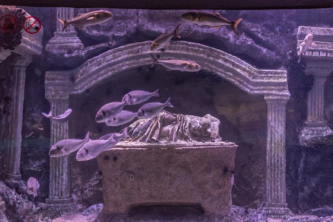 Antalya: Aquarium Ticket With Optional Transfer - The Pickup Question You Should Settle First