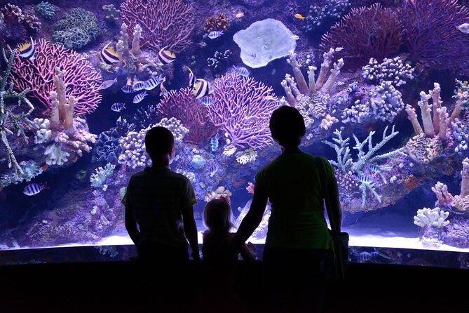 Antalya: Aquarium, Wax Museum & Combo Package Options - Two Antalya attractions in one indoor stop