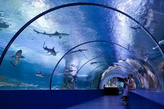 Antalya: Aquarium, Wax Museum & Combo Package Options - What the upgrade options add