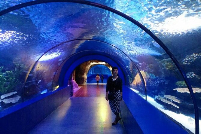 Antalya: Aquarium, Wax Museum & Combo Package Options - Who will get the most from this visit?