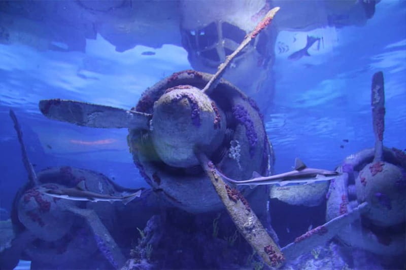 Antalya: Aquarium, Wax Museum, Snow World, Wild Park - Oceanride XD Cinema adds motion and effects