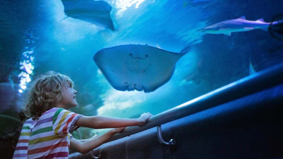Antalya: Aquarium, Wax Museum, Snow World, Wild Park - Antalya Aquarium makes a strong rainy-day plan