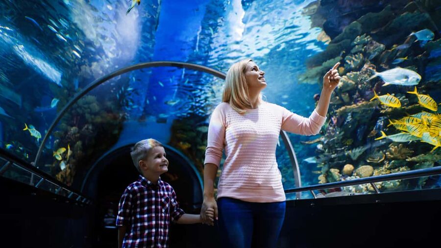 Antalya: Aquarium, Wax Museum, Snow World, Wild Park - The Nile, Amazon, and Asian rivers