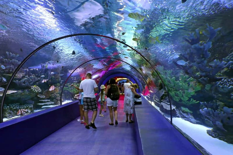 Antalya: Aquarium, Wax Museum, Snow World, Wild Park - Real snow at Snow World and the Ice Museum