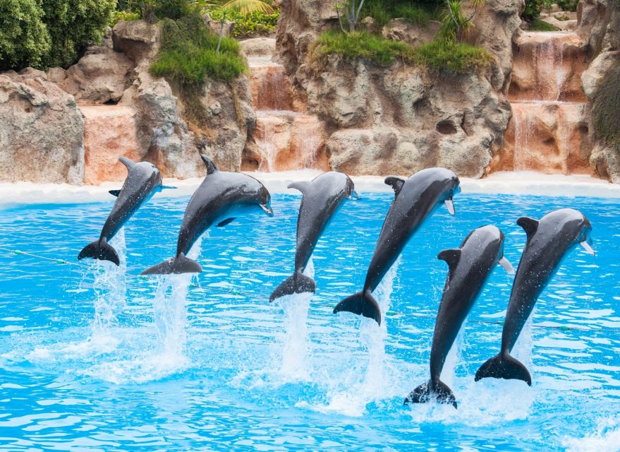 Antalya/Belek: The Land of Legends Theme Park with Transfer - Is The Land of Legends worth booking?
