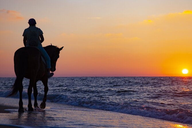 Antalya Horse Riding On Beach And Through The Forests For 2 Hours - Beach sand and pine forest in one Antalya outing