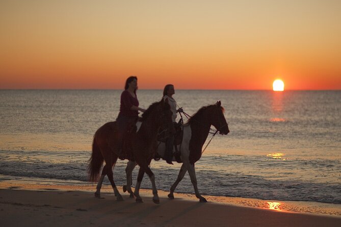 Antalya Horse Riding On Beach And Through The Forests For 2 Hours - The beach ride: open views, real safety concerns