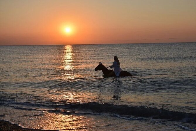 Antalya Horse Riding On Beach And Through The Forests For 2 Hours - What the day actually includes