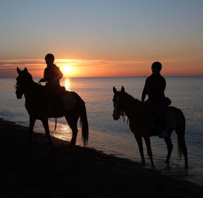 Antalya: Horseback Riding on the Beach and in the Forest - Through the forest first
