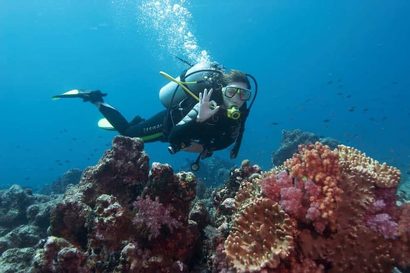 Antalya/Kemer: 2 Dives Scuba Diving Trip with Lunch - Who will enjoy this experience most?