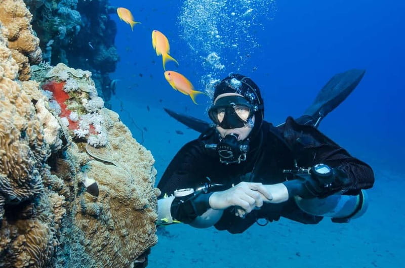 Antalya/Kemer: 2 Dives Scuba Diving Trip with Lunch - Safety briefing at Çamyuva