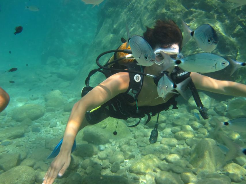 Antalya/Kemer: Scuba Diving Experience with Lunch & Pick up - A seven to eight hour day from Kemer Marina